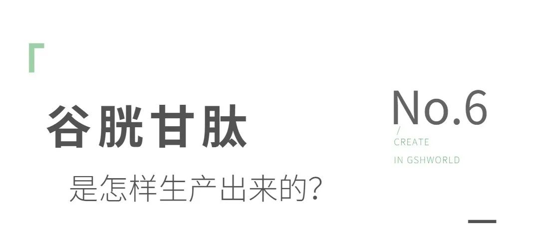 谷胱甘肽是如何生產(chǎn)的？