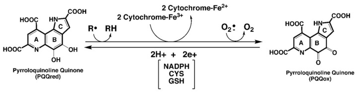 包含圖片、插圖等的外部文件。
對象名稱為 biomolecules-11-01441-g001.jpg