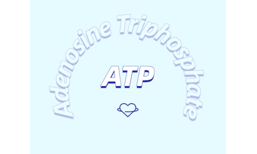 ATP有什么用？