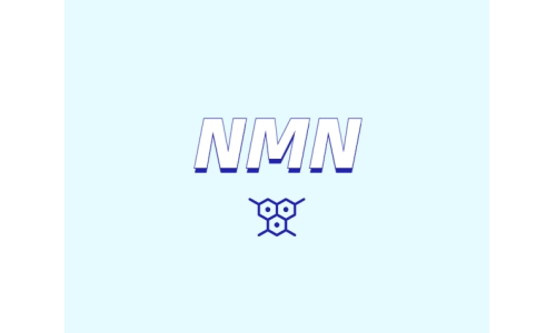 哪里可以買到 nmn？